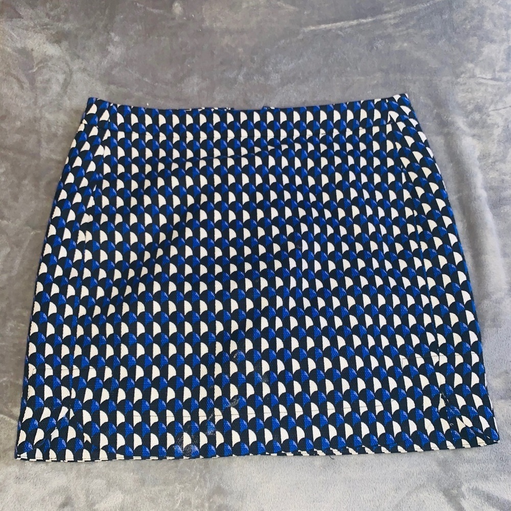 J Crew skirt001